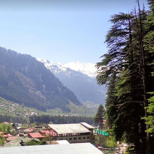 Hotel Mahajan location near pine woods in Manali